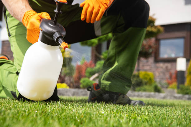 Best Flea Control Services  in Bryan, TX