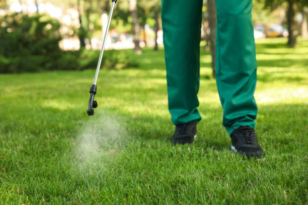 Pest Prevention Services in Bryan, TX