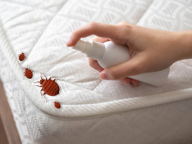 Professional Pest Control in Bryan, TX