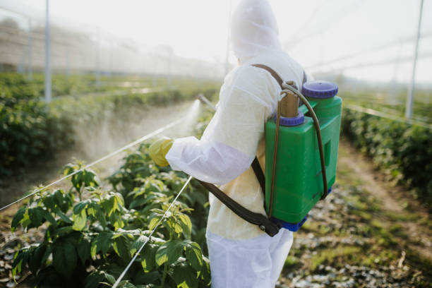 Best Best Pest Control Companies  in Bryan, TX